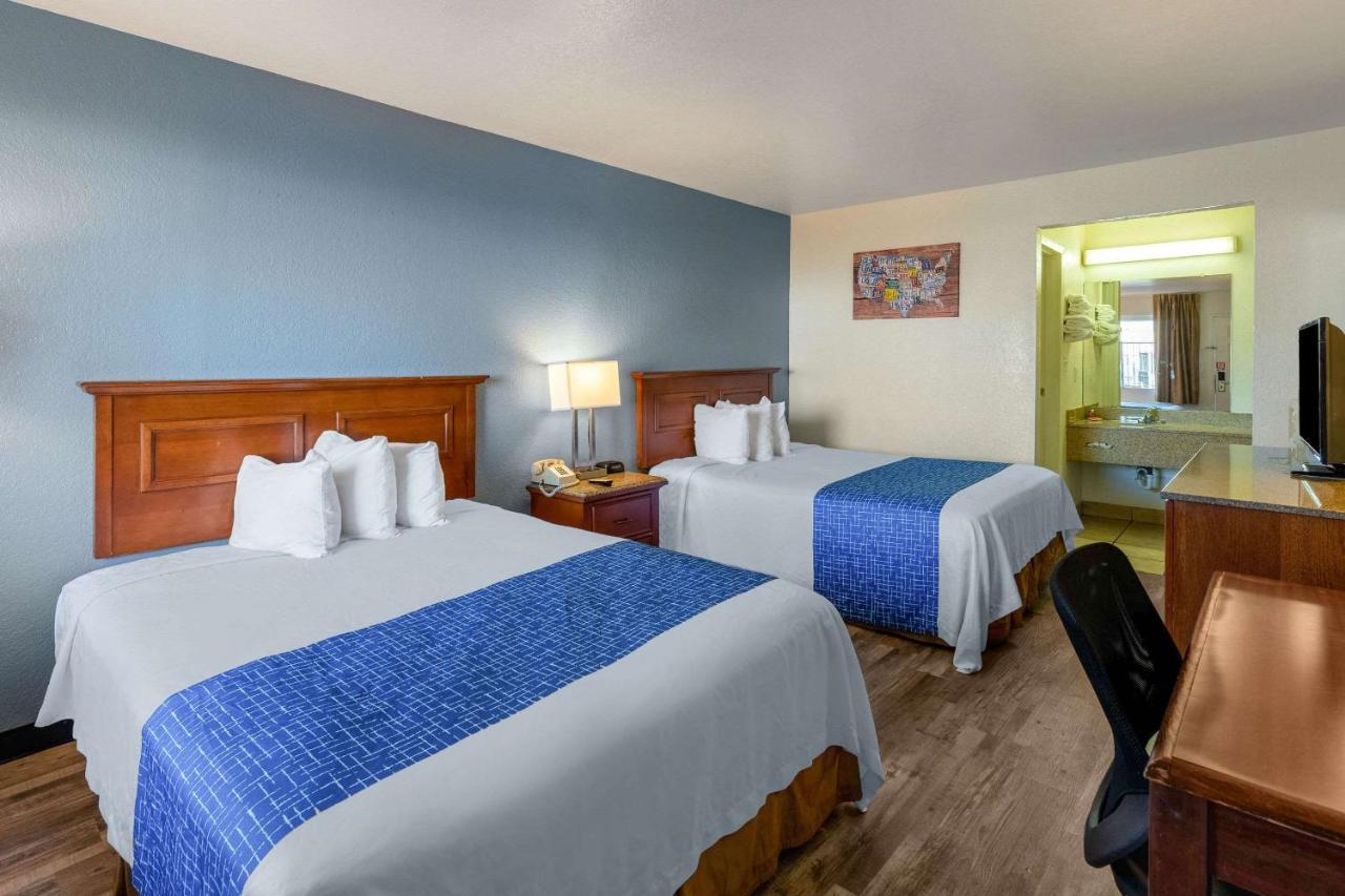 Lodge Econo
